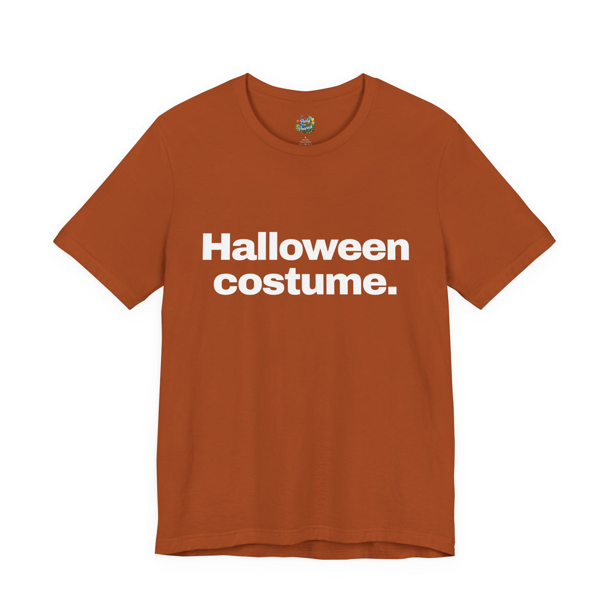 Halloween Costume